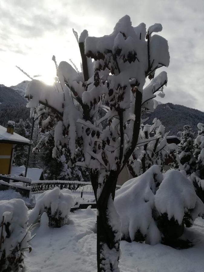 Il Nido B&B Villa d'Allegno 외부 사진